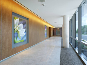 Hospital reception hall with neutral tile flooring and a river stone perimeter between main flooring corridor and windows bank. This image is meant to demonstrate expertise in healthcare flooring.