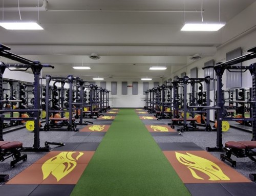Concordia University Fitness Center River Forest, IL  VIEW PROJECT >